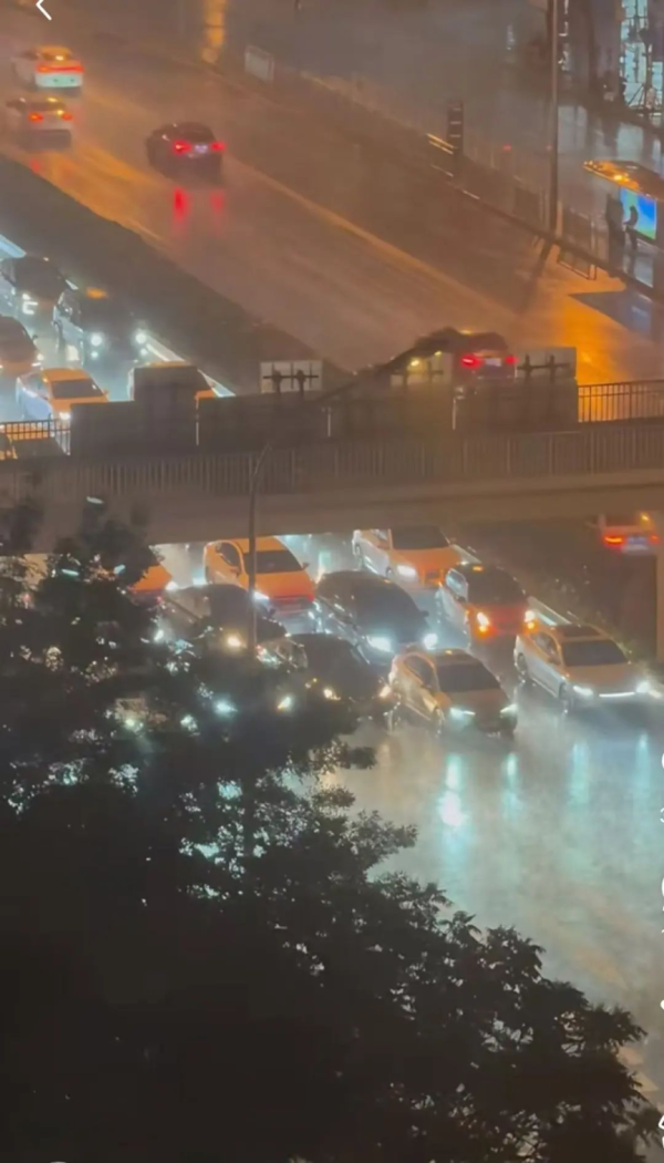 锐评｜立交桥下躲冰雹？不该为一己之利给城市添堵