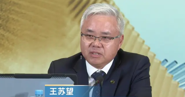 王苏望“黑马”挂帅国投证券！市集化选聘、两年从副总跃升掌门东谈主