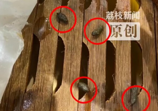 吃小笼包时发现“老鼠屎”，门客崩溃：快吃完才看到……有名老字号说念歉！